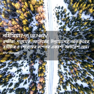 Picture 02 - নহিমিয়া 7:45 BENIRV - রক্ষীরা: শল্লুমের, - Bible Verse Picture