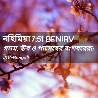 Picture 02 - নহিমিয়া 7:51 BENIRV - গসম, ঊষ ও পাসেহের - Bible Verse Picture
