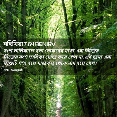 Picture 02 - নহিমিয়া 7:64 BENIRV - বংশ তালিকাতে বলা - Bible Verse Picture