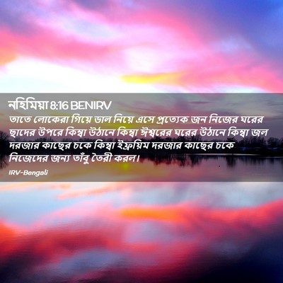 Picture 02 - নহিমিয়া 8:16 BENIRV - তাতে লোকেরা গিয়ে - Bible Verse Picture
