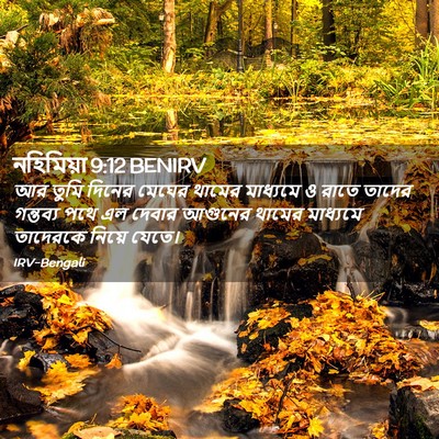 Picture 02 - নহিমিয়া 9:12 BENIRV - আর তুমি দিনের - Bible Verse Picture