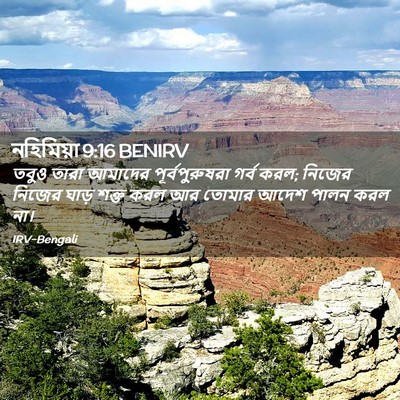 Picture 02 - নহিমিয়া 9:16 BENIRV - তবুও তারা আমাদের - Bible Verse Picture