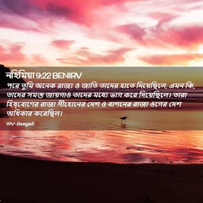 Picture 02 - নহিমিয়া 9:22 BENIRV - পরে তুমি অনেক - Bible Verse Picture