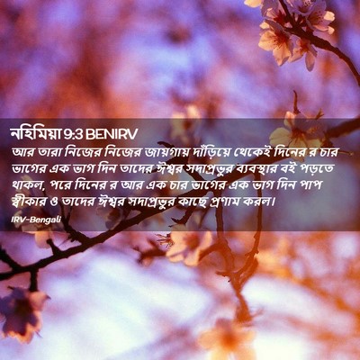 Picture 02 - নহিমিয়া 9:3 BENIRV - আর তারা নিজের - Bible Verse Picture