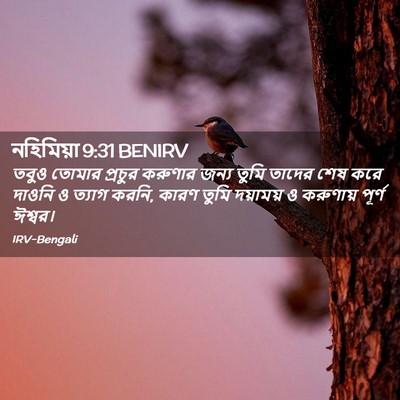 Picture 02 - নহিমিয়া 9:31 BENIRV - তবুও তোমার প্রচুর - Bible Verse Picture