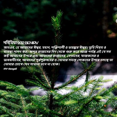 Picture 02 - নহিমিয়া 9:32 BENIRV - অতএব, হে আমাদের - Bible Verse Picture