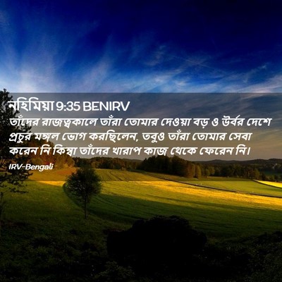 Picture 02 - নহিমিয়া 9:35 BENIRV - তাঁদের রাজত্বকালে - Bible Verse Picture