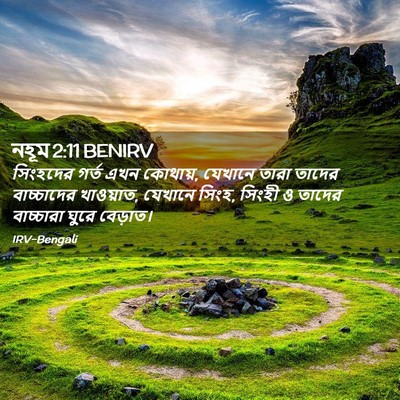 Picture 02 - নহূম 2:11 BENIRV - সিংহদের গর্ত এখন - Bible Verse Picture