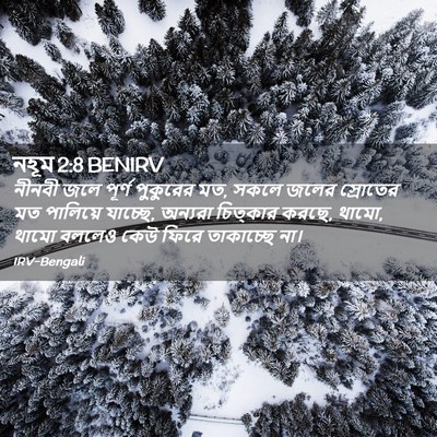 Picture 02 - নহূম 2:8 BENIRV - নীনবী জলে পূর্ণ - Bible Verse Picture