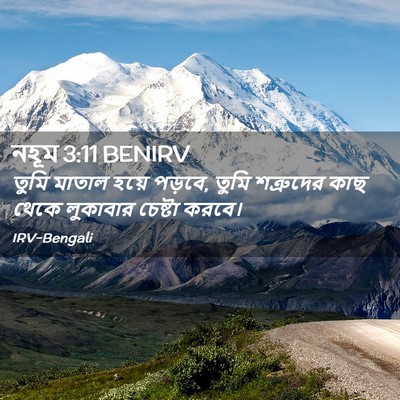 Picture 02 - নহূম 3:11 BENIRV - তুমি মাতাল হয়ে - Bible Verse Picture