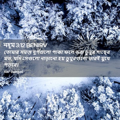 Picture 02 - নহূম 3:12 BENIRV - তোমার সমস্ত - Bible Verse Picture