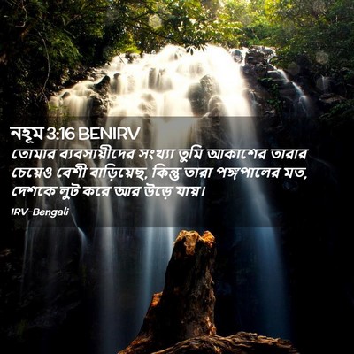 Picture 02 - নহূম 3:16 BENIRV - তোমার - Bible Verse Picture