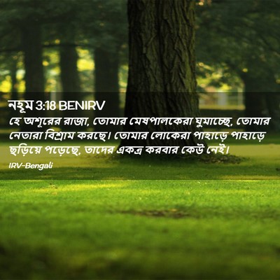 Picture 02 - নহূম 3:18 BENIRV - হে অশূরের রাজা, - Bible Verse Picture