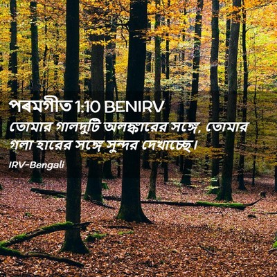 Picture 02 - পৰমগীত 1:10 BENIRV - তোমার গালদুটি - Bible Verse Picture