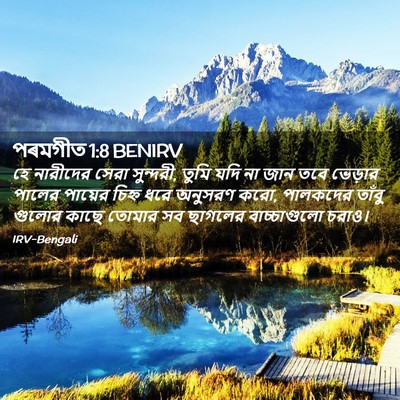 Picture 02 - পৰমগীত 1:8 BENIRV - হে নারীদের সেরা - Bible Verse Picture