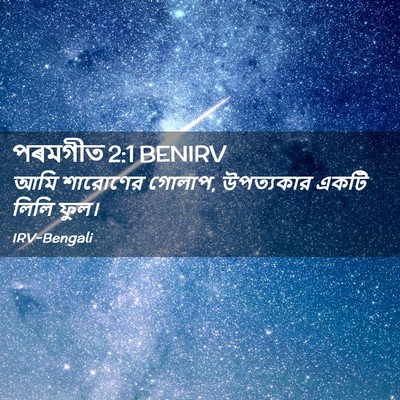 Picture 02 - পৰমগীত 2:1 BENIRV - আমি শারোণের গোলাপ, - Bible Verse Picture