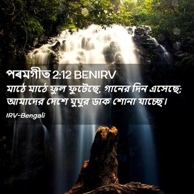 Picture 02 - পৰমগীত 2:12 BENIRV - মাঠে মাঠে ফুল - Bible Verse Picture