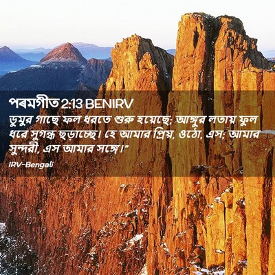 Picture 02 - পৰমগীত 2:13 BENIRV - ডুমুর গাছে ফল ধরতে - Bible Verse Picture