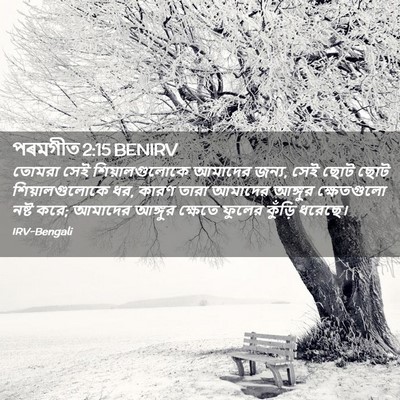 Picture 02 - পৰমগীত 2:15 BENIRV - তোমরা সেই - Bible Verse Picture