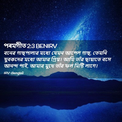 Picture 02 - পৰমগীত 2:3 BENIRV - বনের গাছপালার - Bible Verse Picture