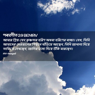 Picture 02 - পৰমগীত 2:9 BENIRV - আমার প্রিয় যেন - Bible Verse Picture