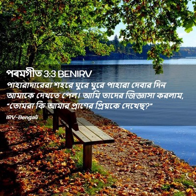 Picture 02 - পৰমগীত 3:3 BENIRV - পাহারাদারেরা শহরে - Bible Verse Picture