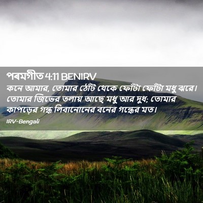Picture 02 - পৰমগীত 4:11 BENIRV - কনে আমার, তোমার - Bible Verse Picture