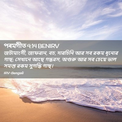 Picture 02 - পৰমগীত 4:14 BENIRV - জটামাংসী, জাফরান, - Bible Verse Picture