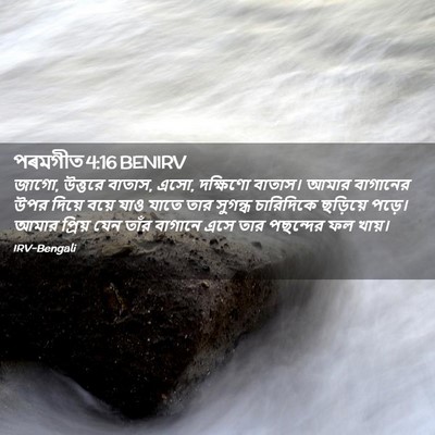 Picture 02 - পৰমগীত 4:16 BENIRV - জাগো, উত্তরে বাতাস, - Bible Verse Picture