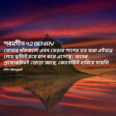 Picture 02 - পৰমগীত 4:2 BENIRV - তোমার দাঁতগুলো - Bible Verse Picture