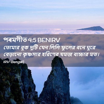 Picture 02 - পৰমগীত 4:5 BENIRV - তোমার বুক দুটি যেন - Bible Verse Picture