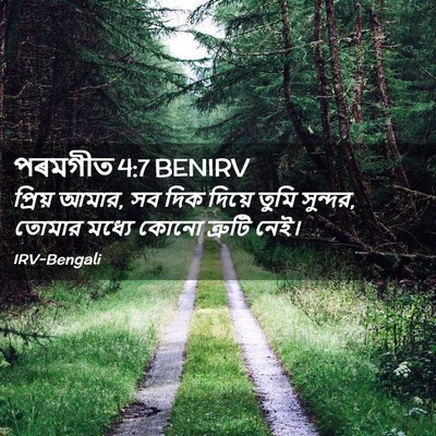 Picture 02 - পৰমগীত 4:7 BENIRV - প্রিয় আমার, সব দিক - Bible Verse Picture