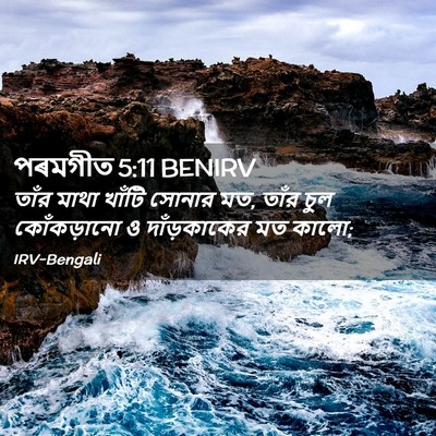 Picture 02 - পৰমগীত 5:11 BENIRV - তাঁর মাথা খাঁটি - Bible Verse Picture