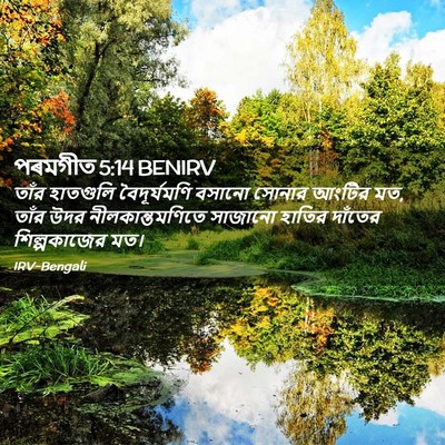 Picture 02 - পৰমগীত 5:14 BENIRV - তাঁর হাতগুলি - Bible Verse Picture