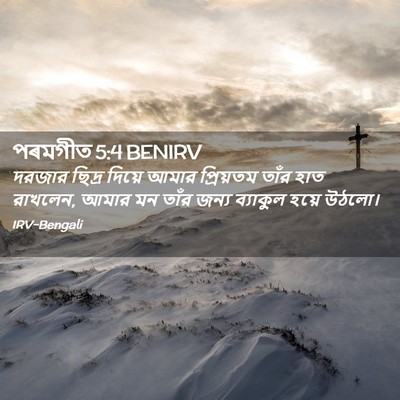Picture 02 - পৰমগীত 5:4 BENIRV - দরজার ছিদ্র দিয়ে - Bible Verse Picture