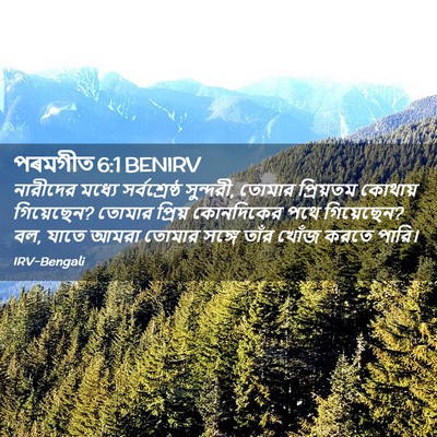 Picture 02 - পৰমগীত 6:1 BENIRV - নারীদের মধ্যে - Bible Verse Picture