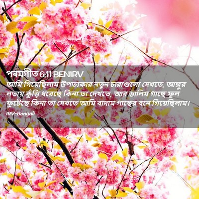 Picture 02 - পৰমগীত 6:11 BENIRV - আমি গিয়েছিলাম - Bible Verse Picture