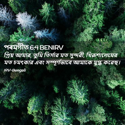 Picture 02 - পৰমগীত 6:4 BENIRV - প্রিয় আমার, তুমি - Bible Verse Picture