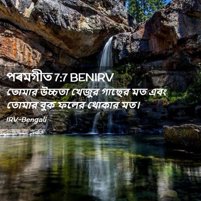 Picture 02 - পৰমগীত 7:7 BENIRV - তোমার উচ্চতা - Bible Verse Picture
