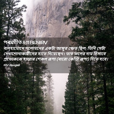 Picture 02 - পৰমগীত 8:11 BENIRV - বাল্‌হামোনে - Bible Verse Picture