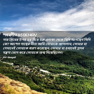 Picture 02 - পৰমগীত 8:5 BENIRV - তার প্রিয়ের উপর - Bible Verse Picture