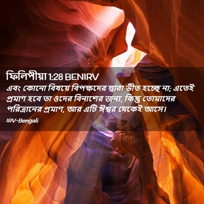 Picture 02 - ফিলিপীয়া 1:28 BENIRV - এবং কোনো বিষয়ে - Bible Verse Picture