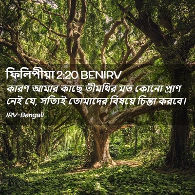 Picture 02 - ফিলিপীয়া 2:20 BENIRV - কারণ আমার কাছে - Bible Verse Picture