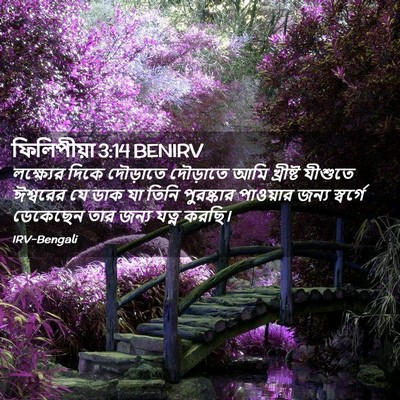 Picture 02 - ফিলিপীয়া 3:14 BENIRV - লক্ষ্যের দিকে - Bible Verse Picture