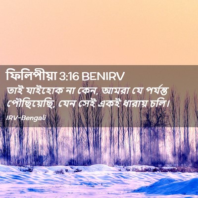 Picture 02 - ফিলিপীয়া 3:16 BENIRV - তাই যাইহোক না কেন, - Bible Verse Picture