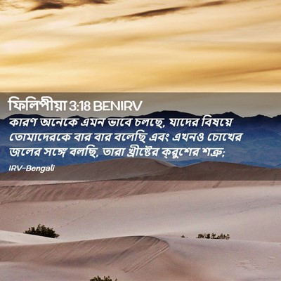 Picture 02 - ফিলিপীয়া 3:18 BENIRV - কারণ অনেকে এমন - Bible Verse Picture