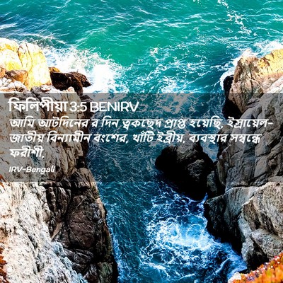 Picture 02 - ফিলিপীয়া 3:5 BENIRV - আমি আটদিনের র দিন - Bible Verse Picture