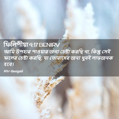 Picture 02 - ফিলিপীয়া 4:17 BENIRV - আমি উপহার পাওয়ার - Bible Verse Picture
