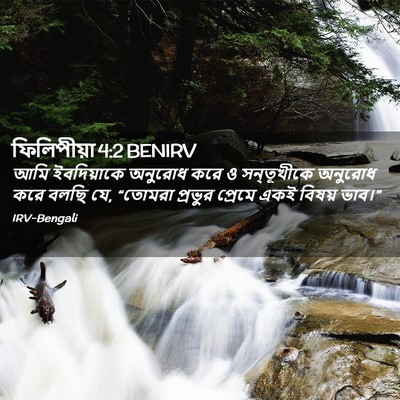 Picture 02 - ফিলিপীয়া 4:2 BENIRV - আমি ইবদিয়াকে - Bible Verse Picture