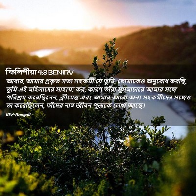 Picture 02 - ফিলিপীয়া 4:3 BENIRV - আবার, আমার প্রকৃত - Bible Verse Picture
